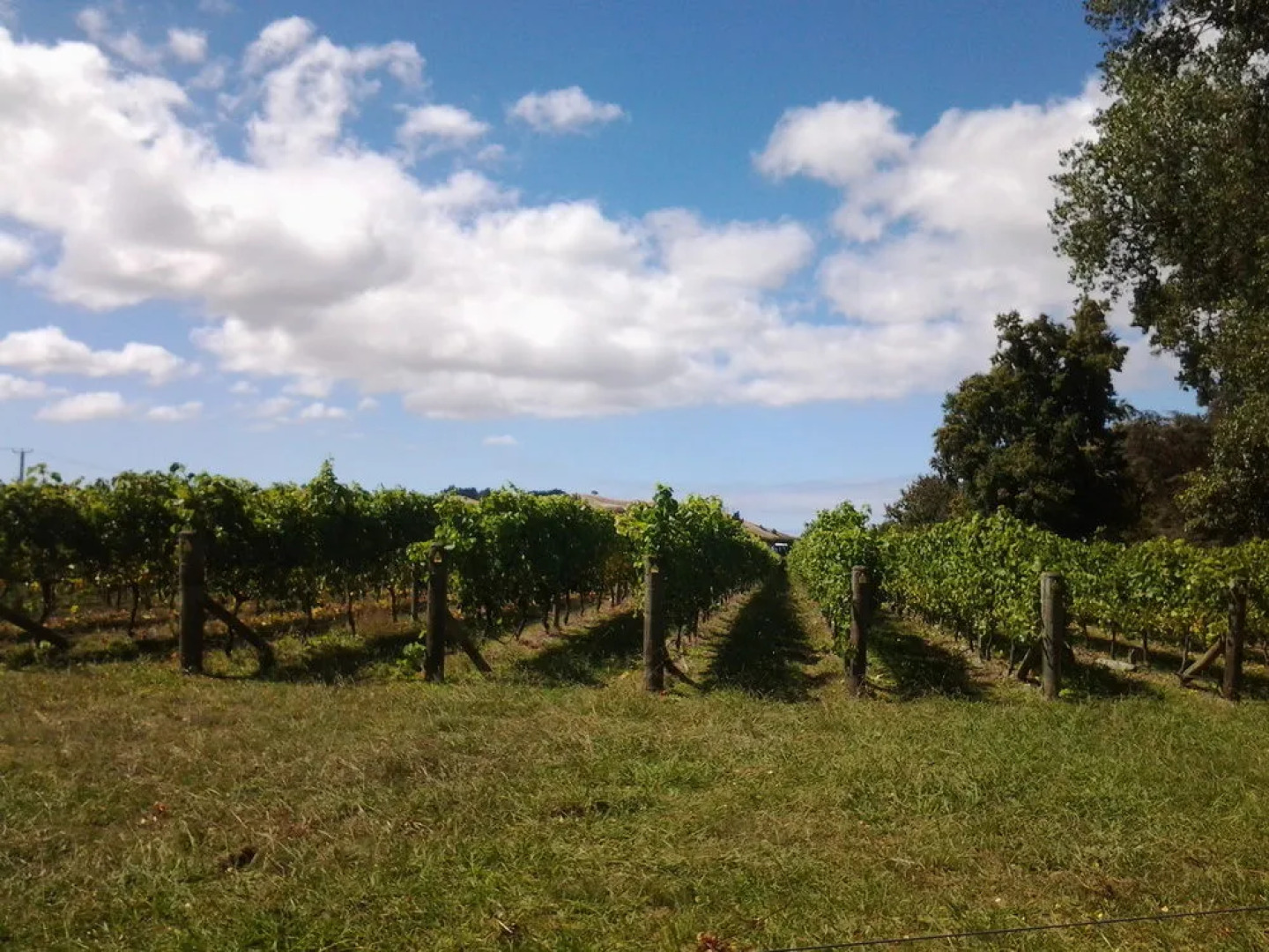 Meadowood Boutique Accommodation