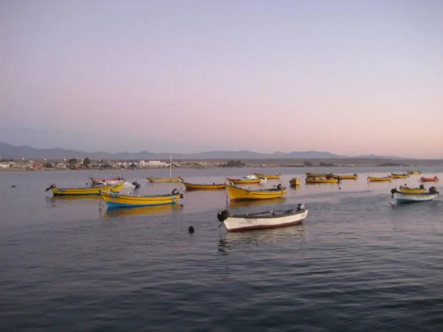 Cabañas Villa Patricia Tongoy