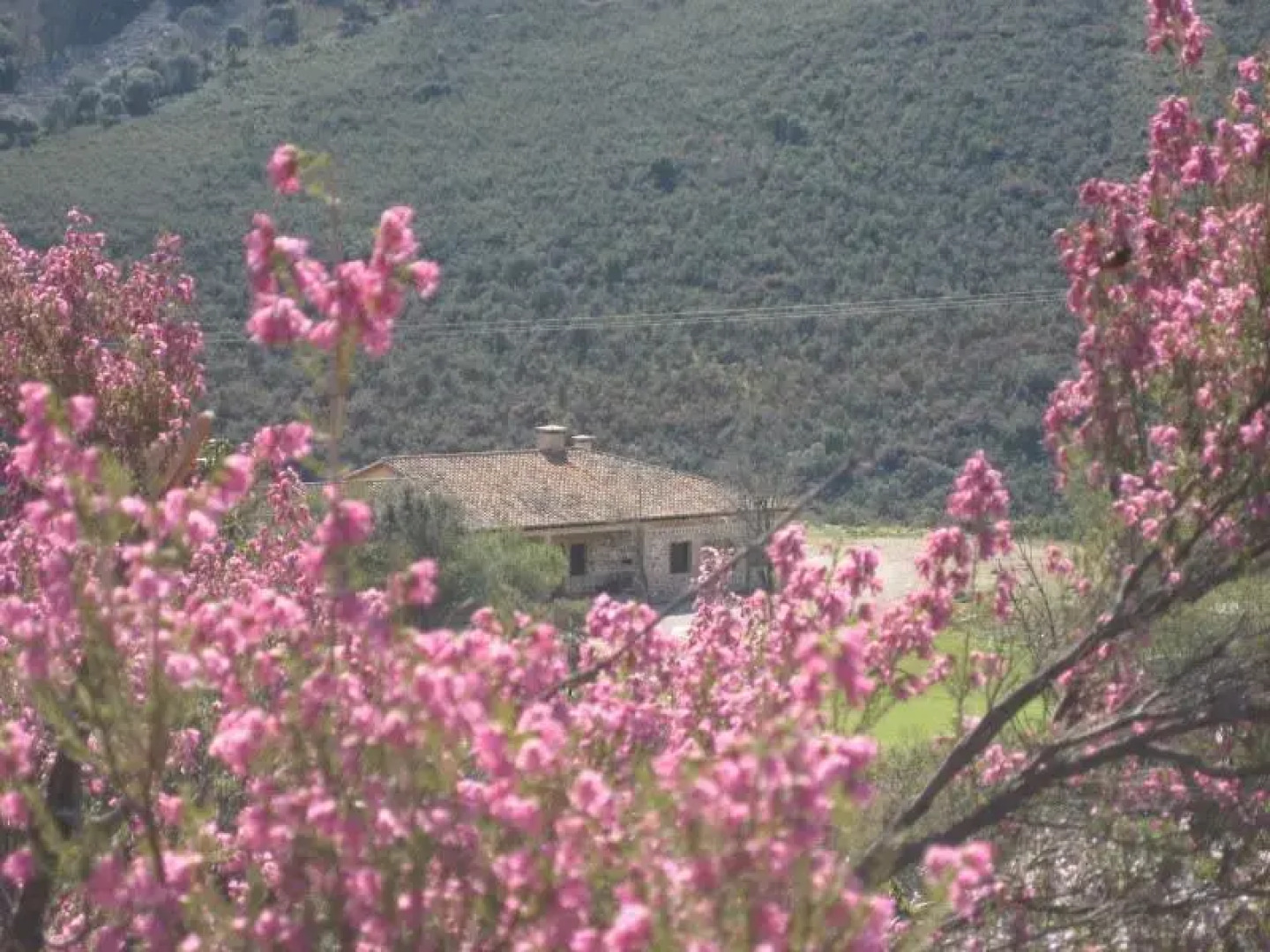 La Casa Forestal de las Becerras