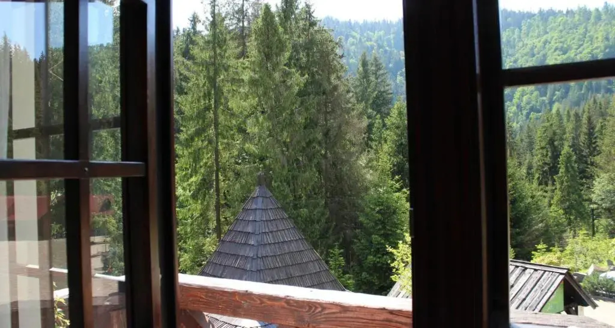 Hotel Vezha Vedmezha