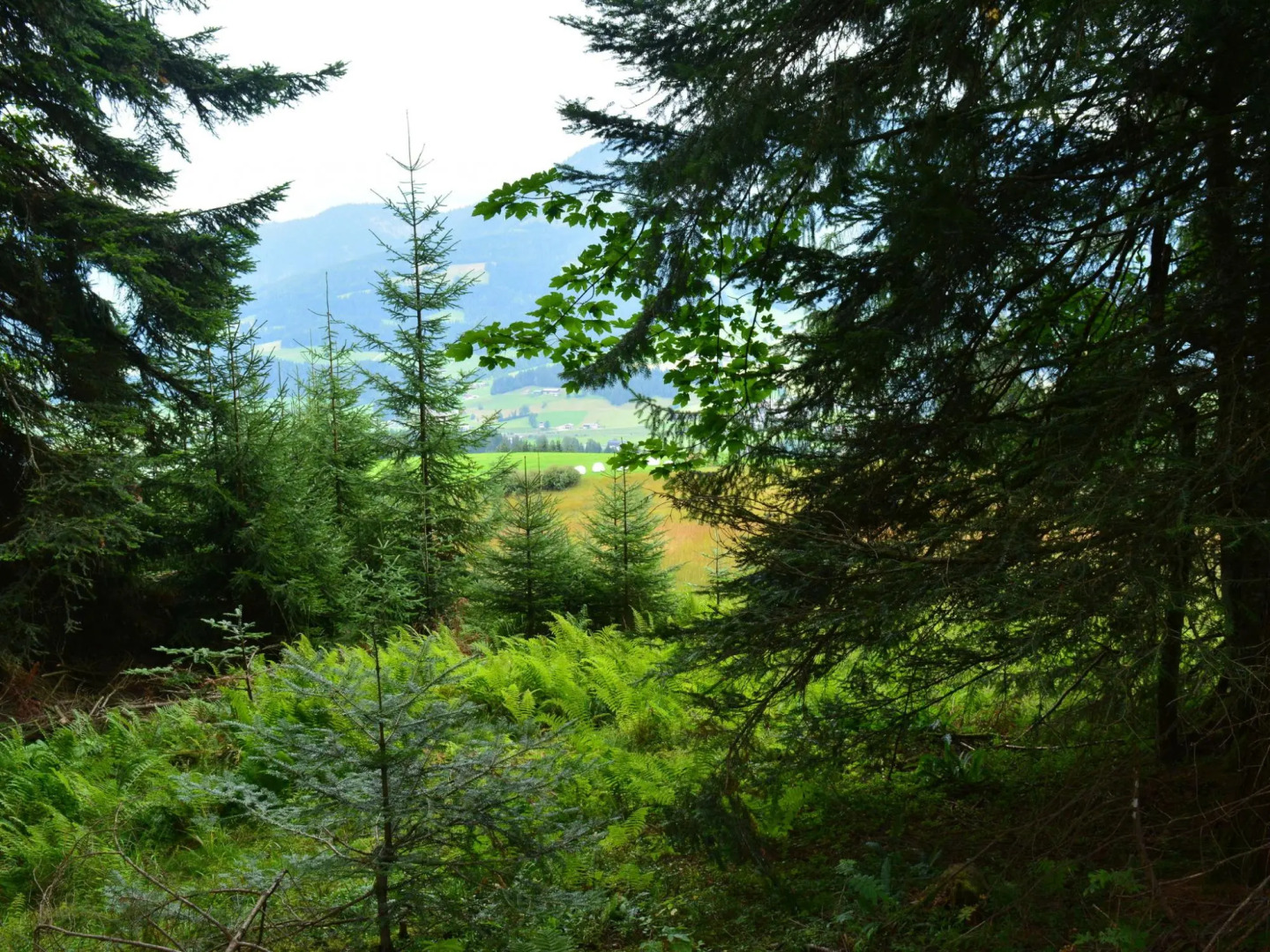 Modern Holiday Home in Fieberbrunn With Sauna