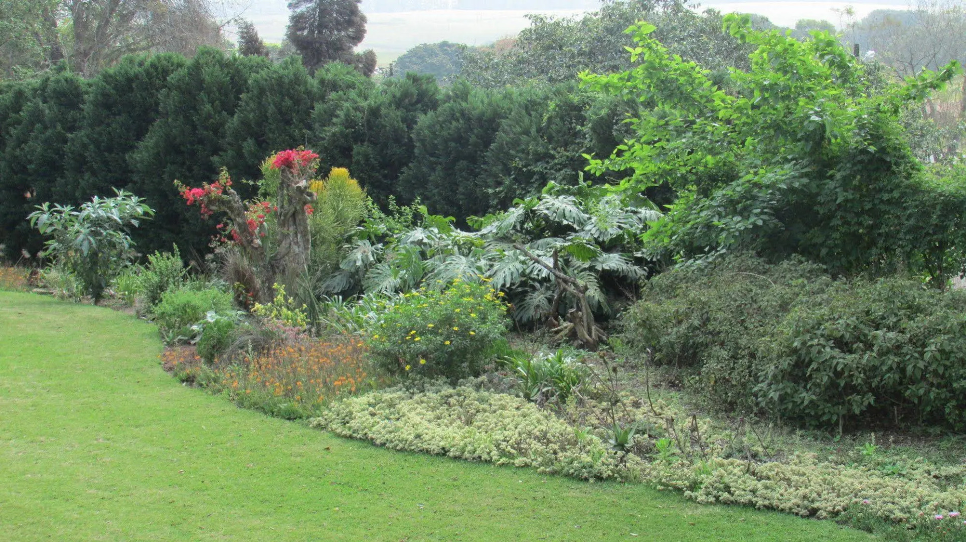 Sugar Hill Manor Guesthouse