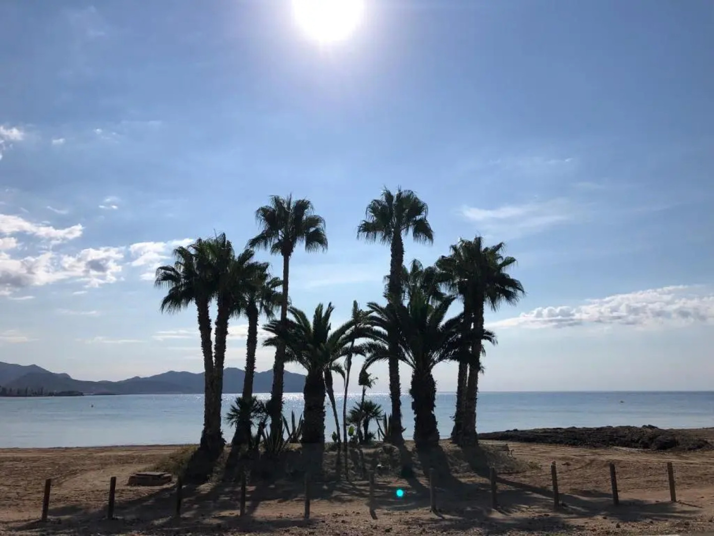 Apartament Claudia II