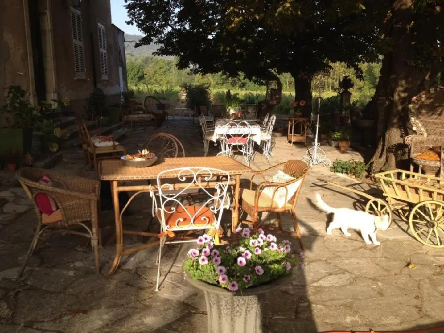 Domaine le Clos du Pavillon