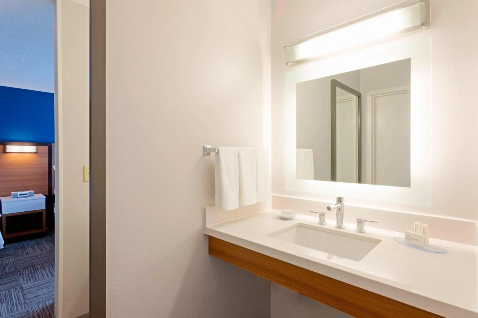 SpringHill Suites by Marriott Rochester-Mayo Clinic/St Marys