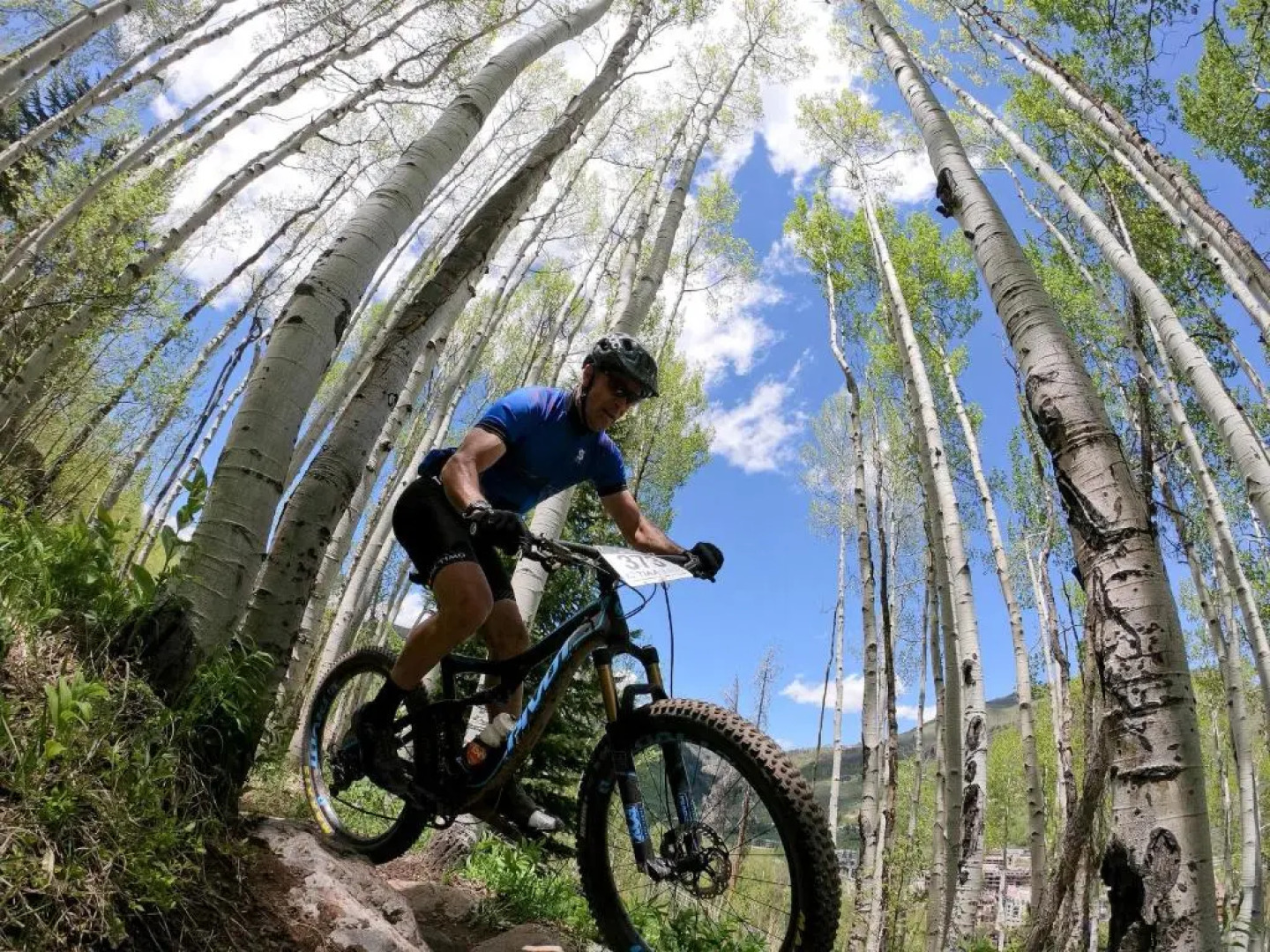 Ascent Residence 208