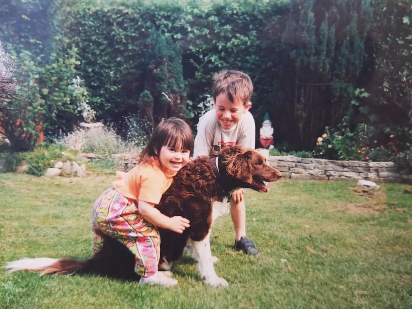 Farm stay chalet-The Paddock