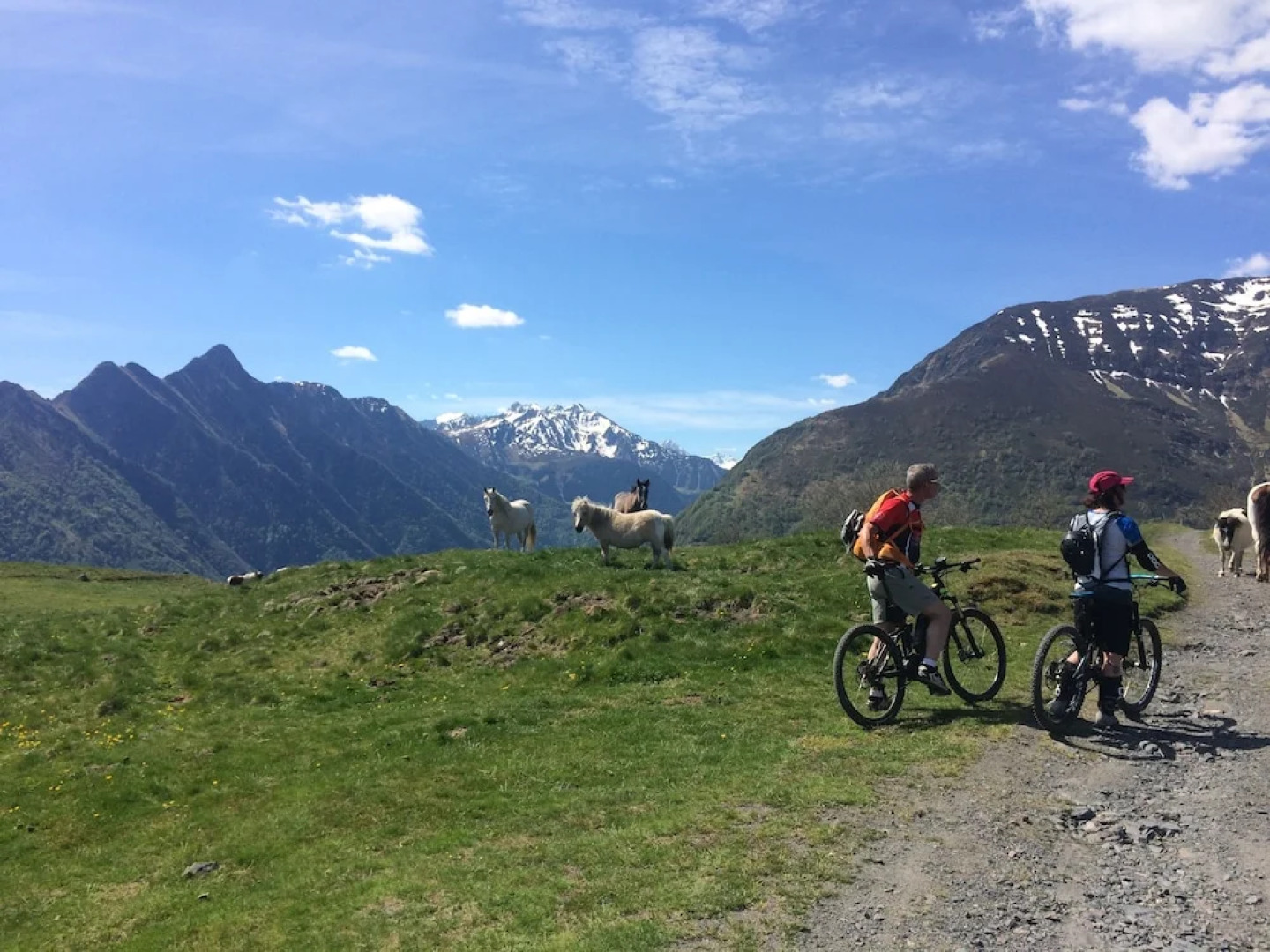 Hotel Restaurant Les Edelweiss