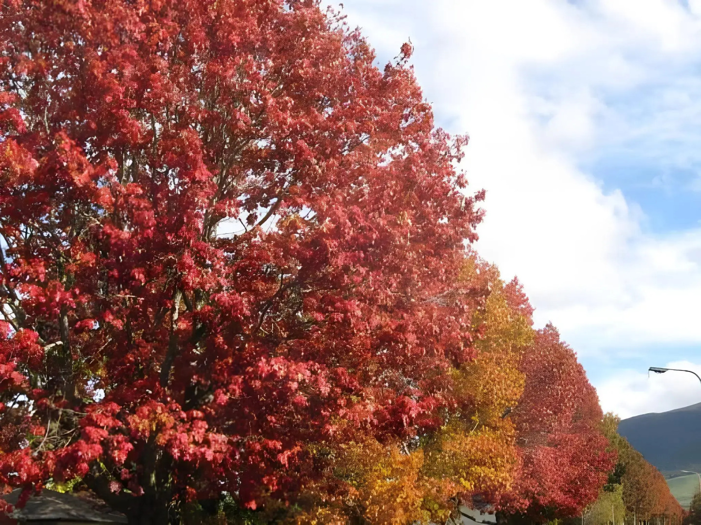 Tongariro River Motel