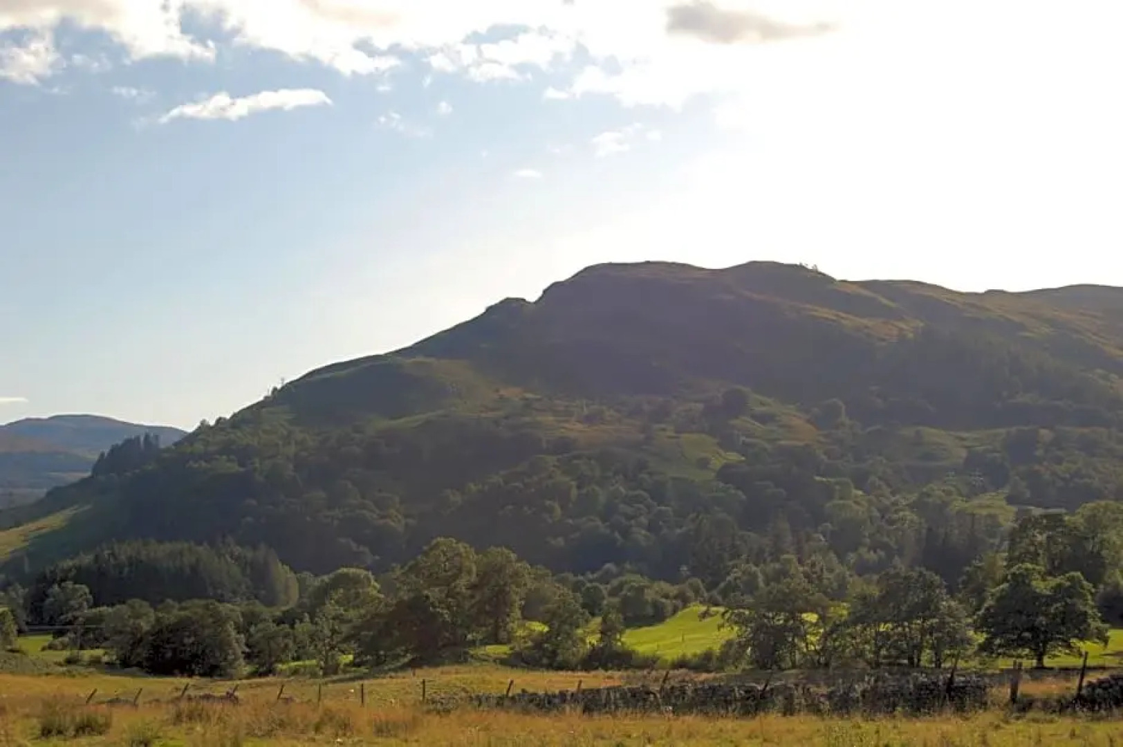 Cosy Rowan woodland lodge no3