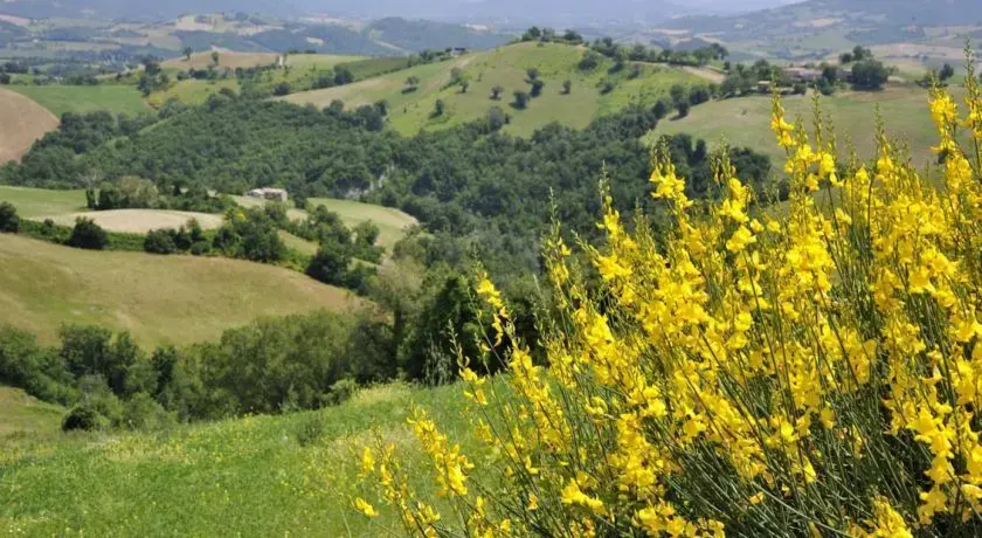 Casa Tartufo