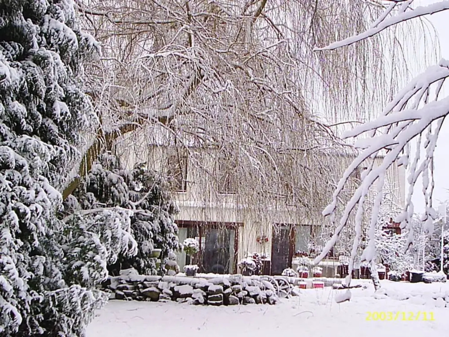 Le Château De Frankie