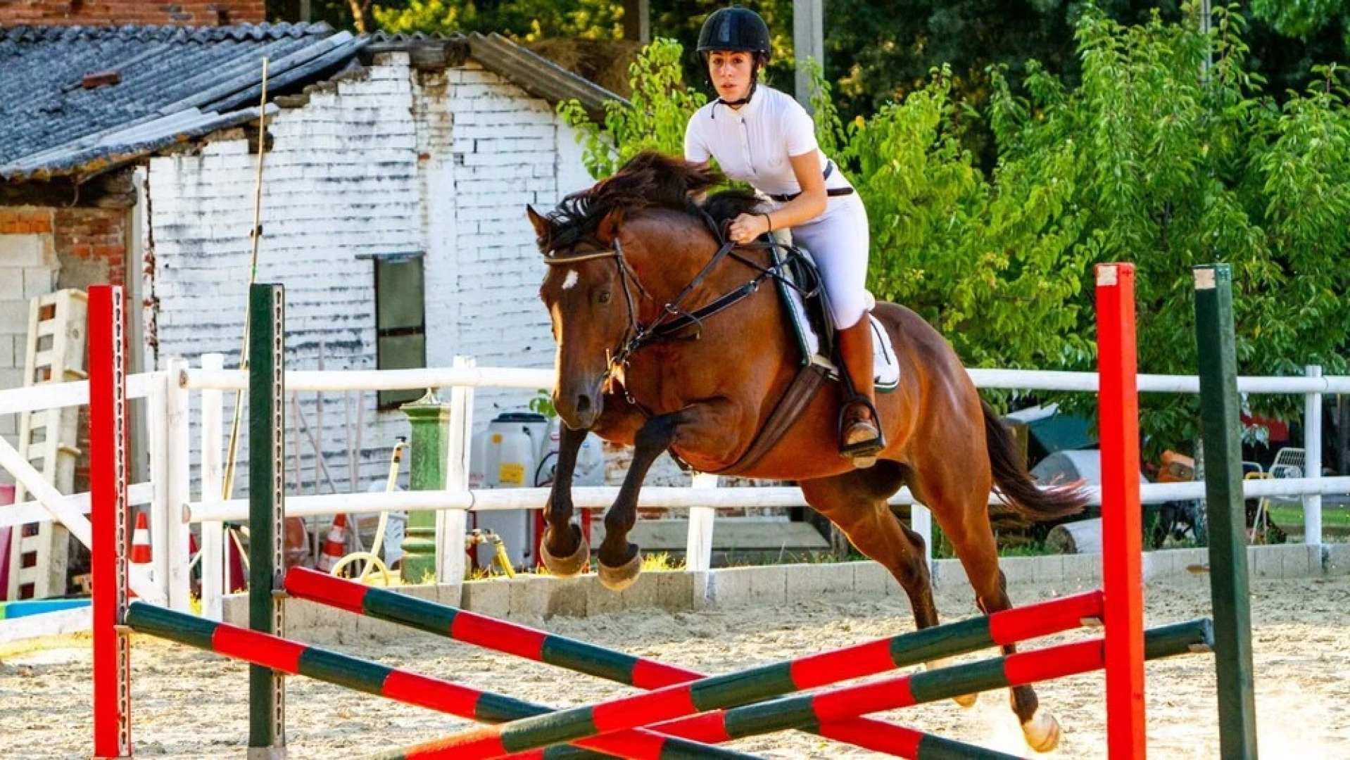 Villa Elisa 16 in Fucecchio