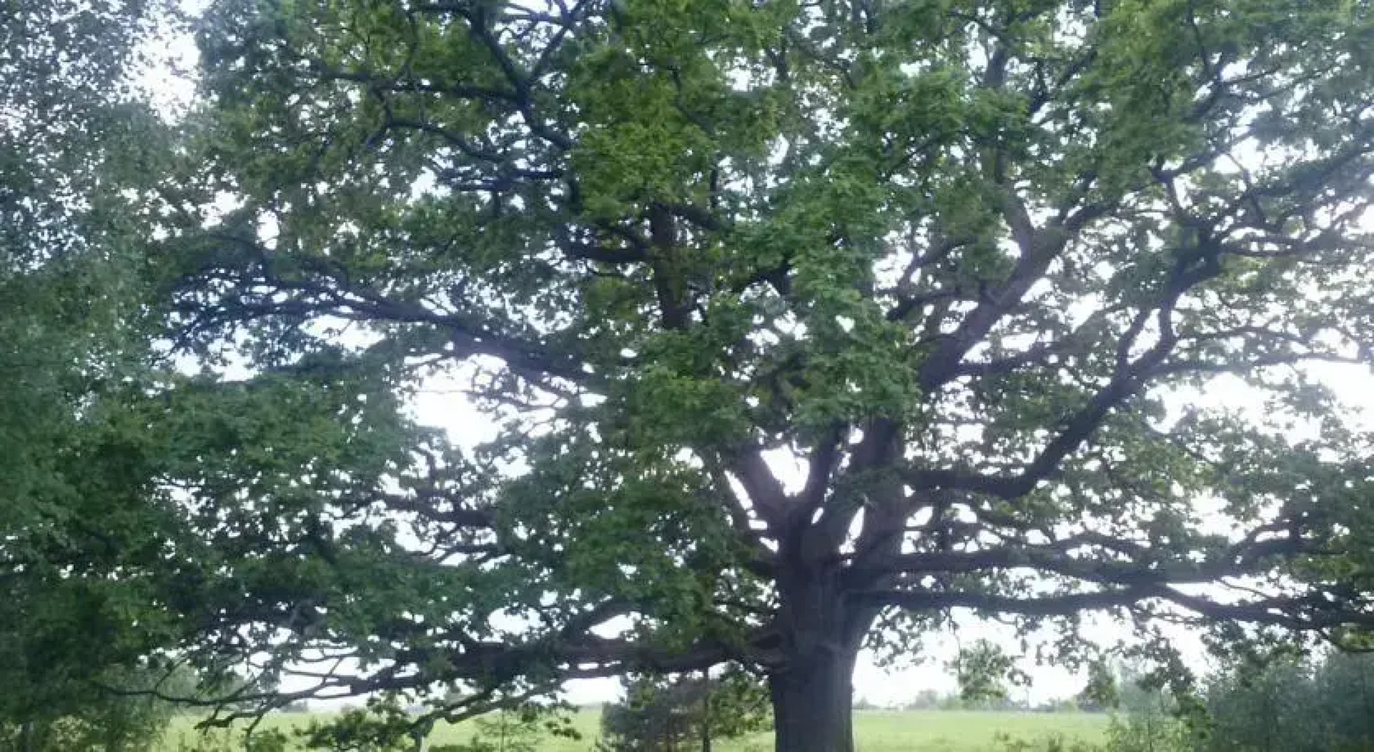 Atpūtas komplekss Polīši