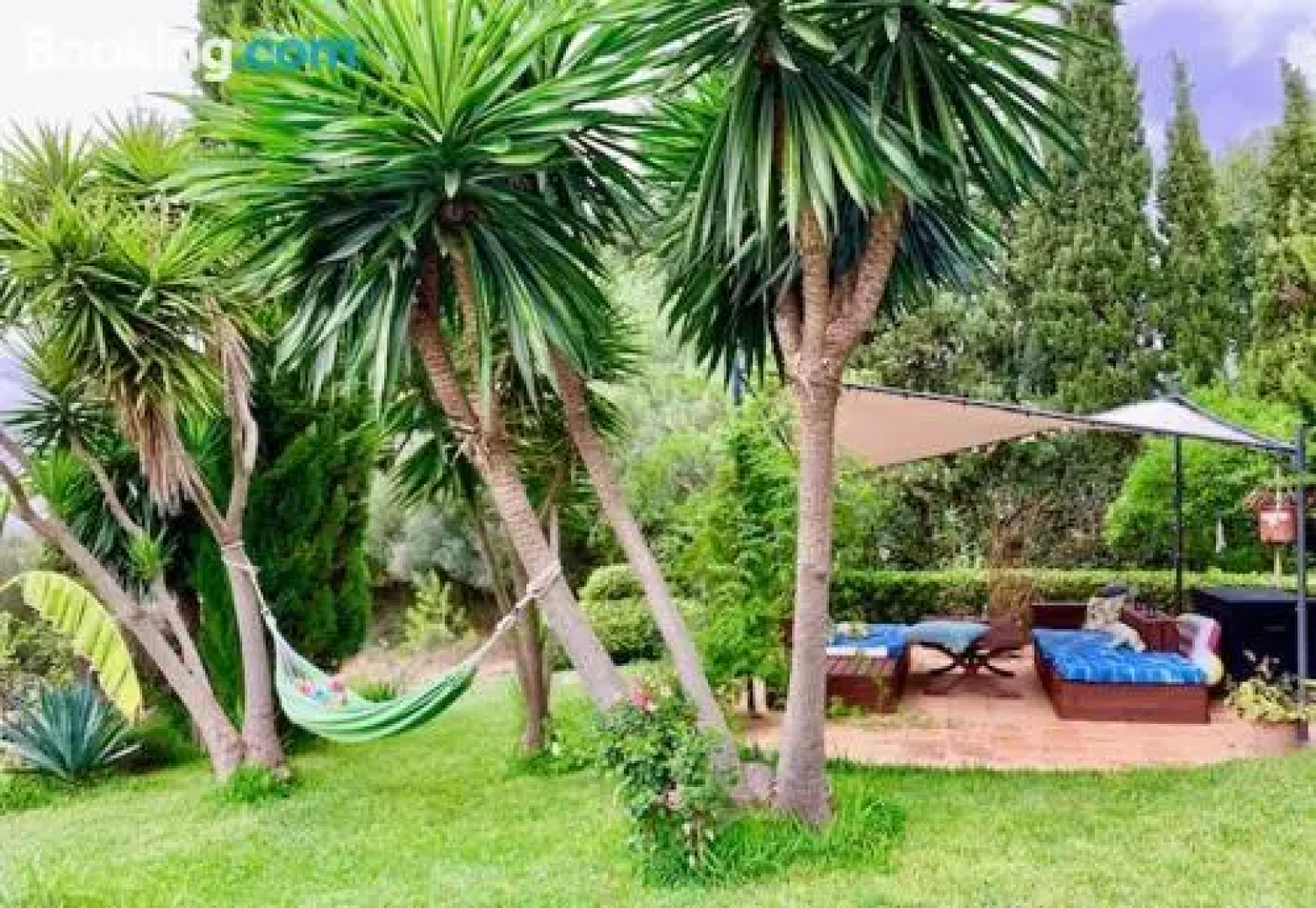 Finca Hotel C'An Bota