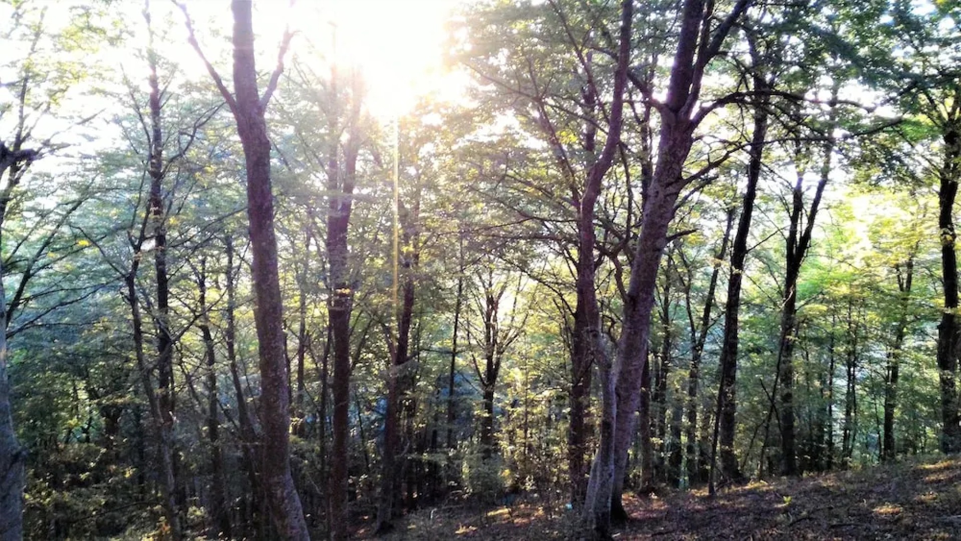 Casa Isabela Luxury Rooms