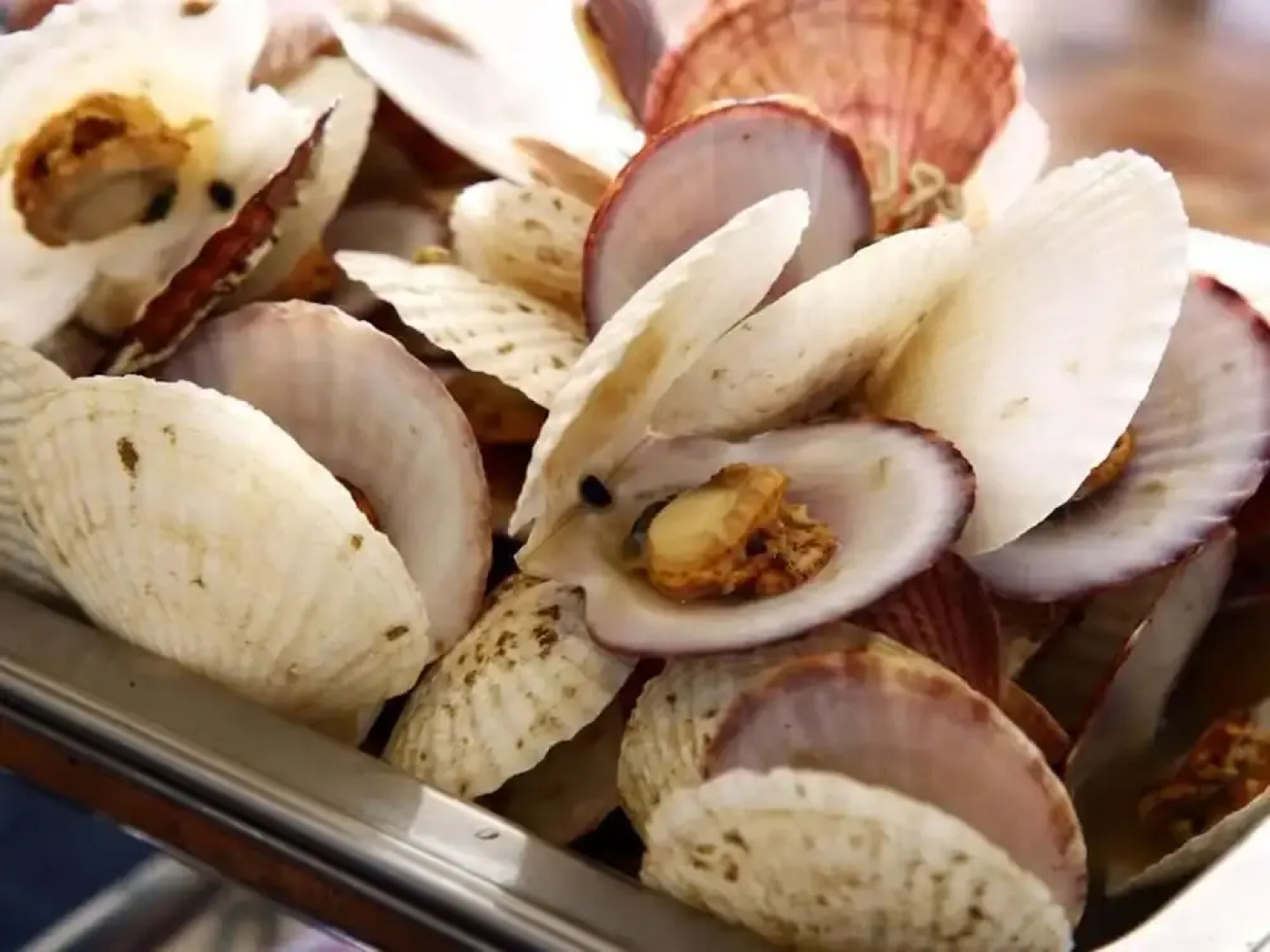 Guest House FUJI-HAKONE LAND - Hostel