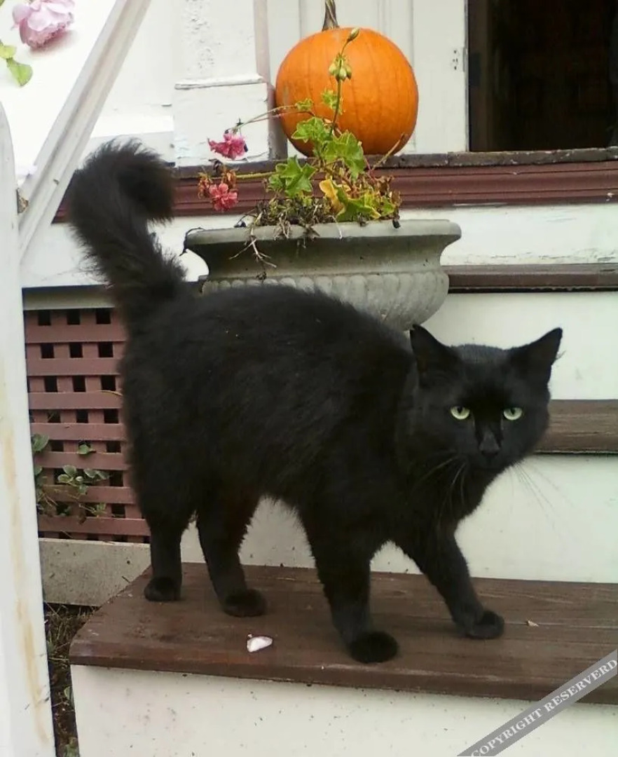 The Sleigh Maker Inn Bed and Breakfast