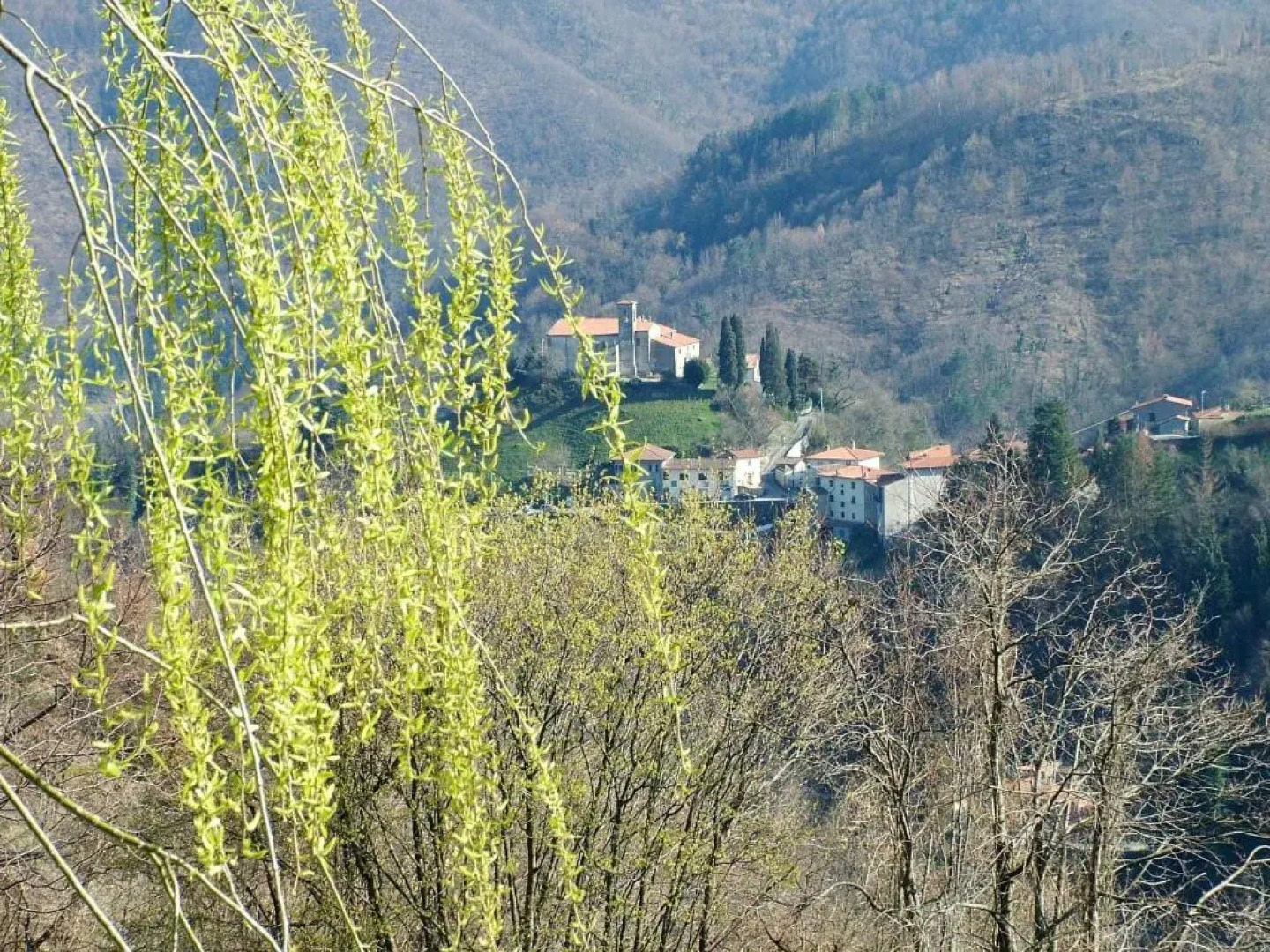 Agriturismo Selvapiana