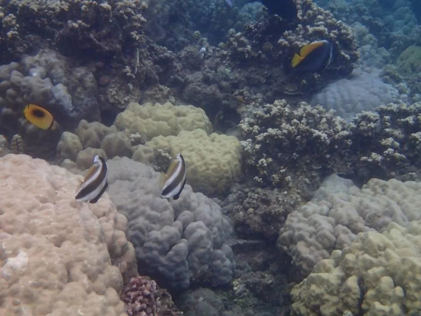 The Assemblage Point Resort and Convention Hub