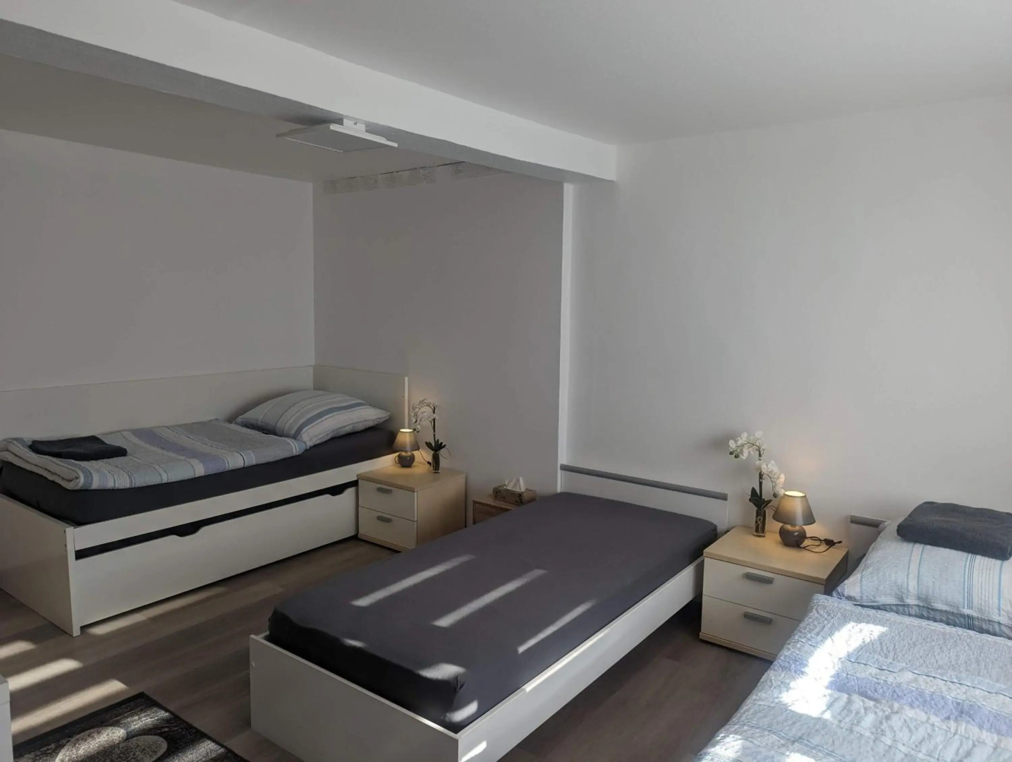 Neuberg Hanau Frankfurt