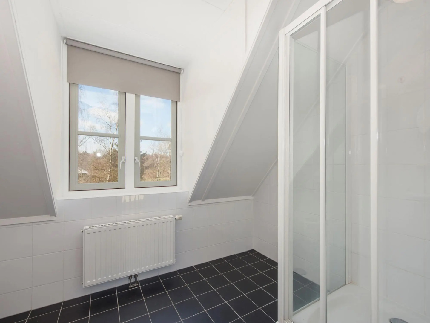 Stately, luxury villa with two bathrooms, 2km from Appelscha