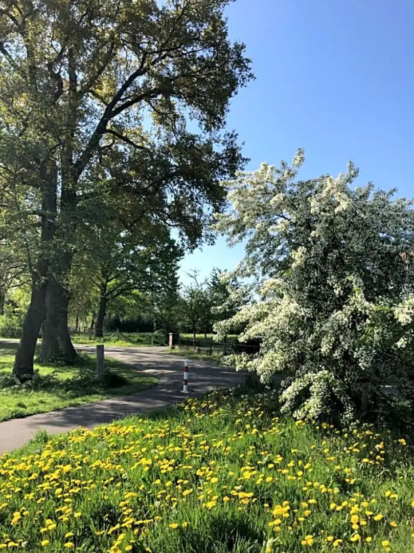 Schaap8 Bed en Breakfast