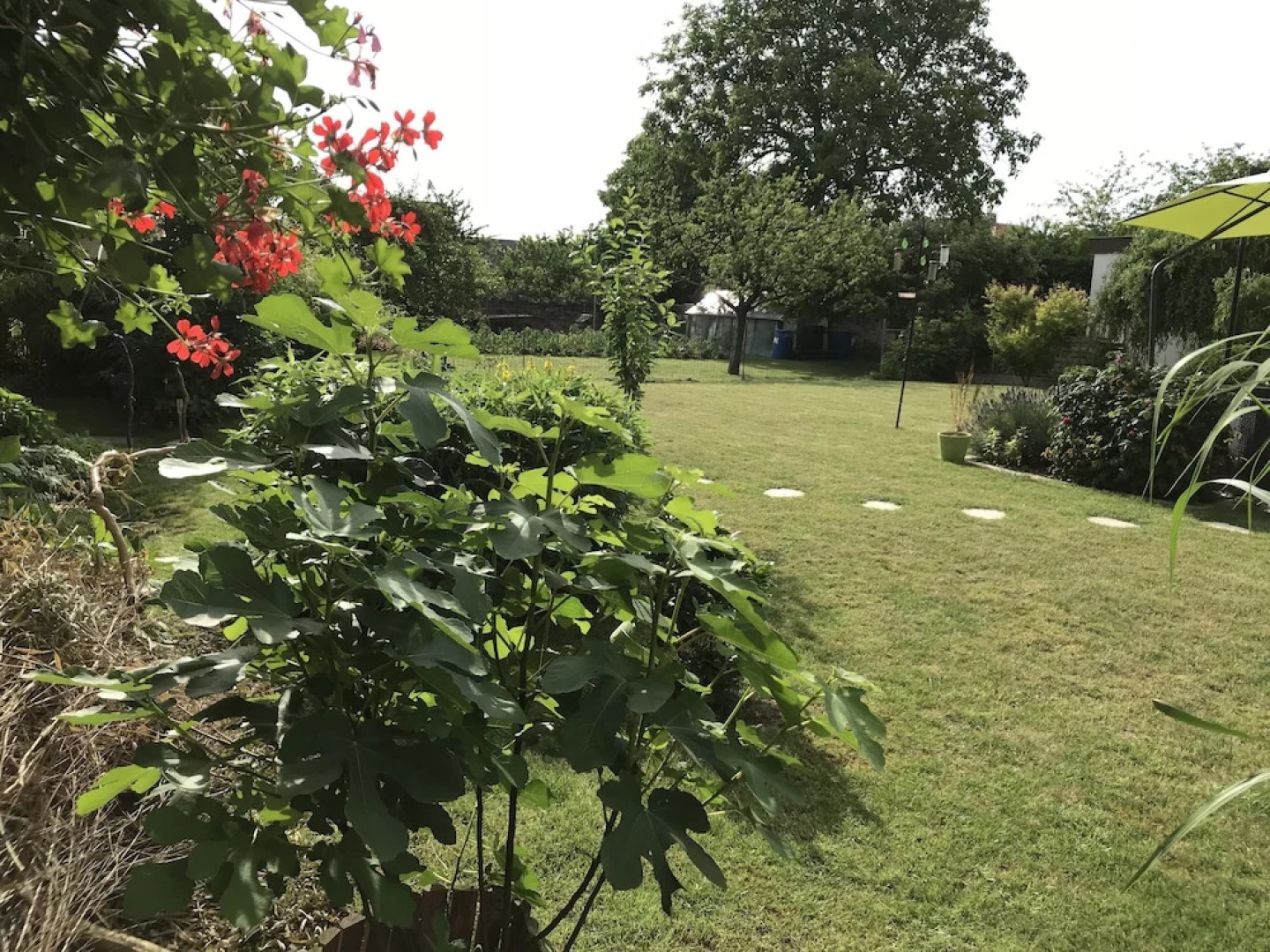 Petit Coin de Paradis - Chambre d'Hôtes
