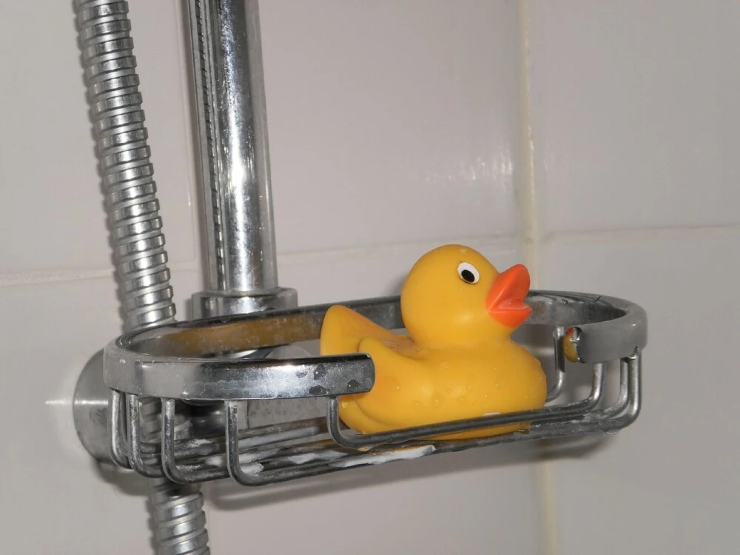 Earle Street Apartment