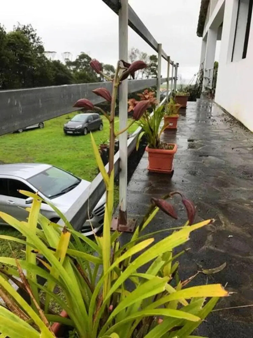 Property With 4 Bedrooms in Fenais da Luz, With Shared Pool and Wifi