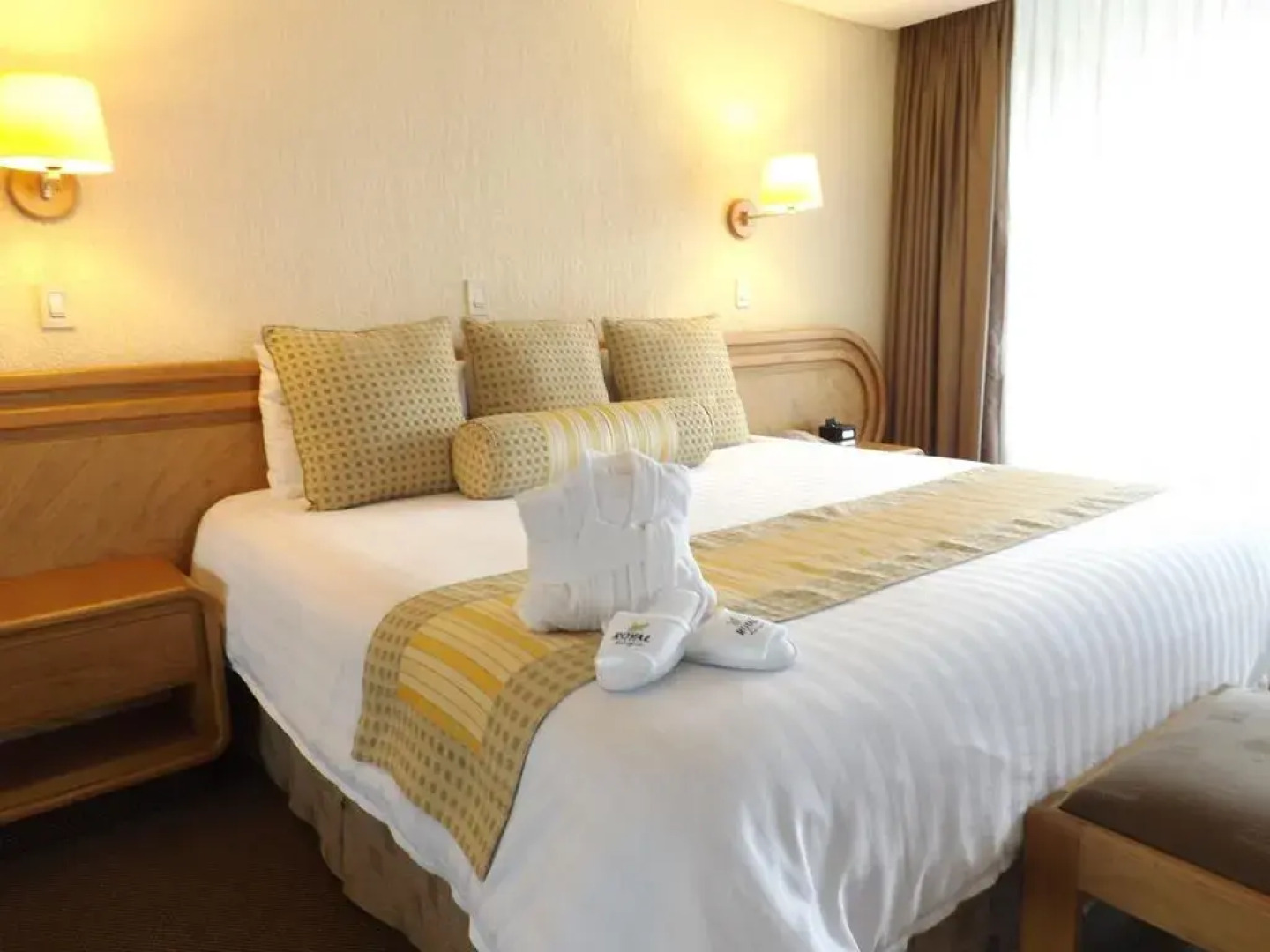 Royal Pedregal Hotel