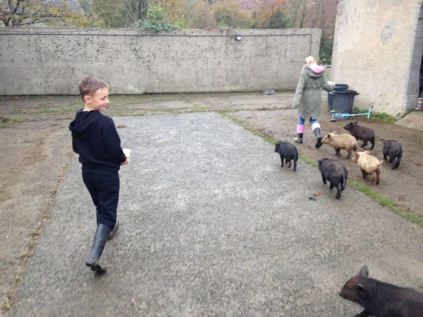 Cosy Stone Cottage on Llanllwni Mountain