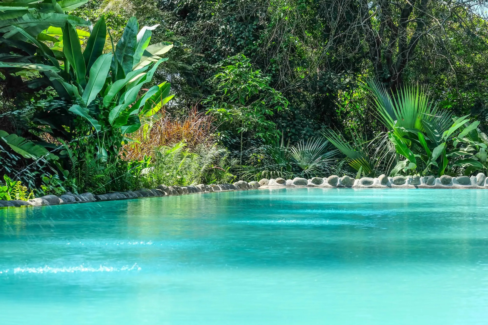 Ngare Sero Mountain Lodge