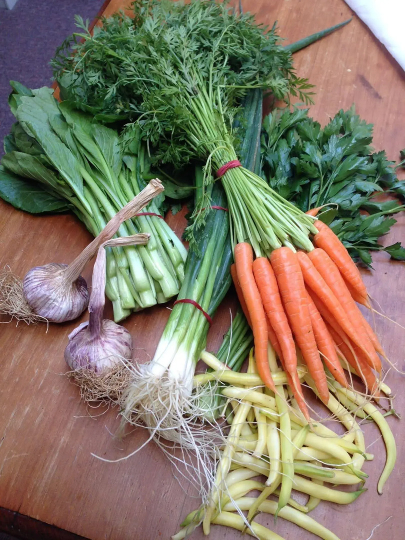 Richmond Cottages Tasmania