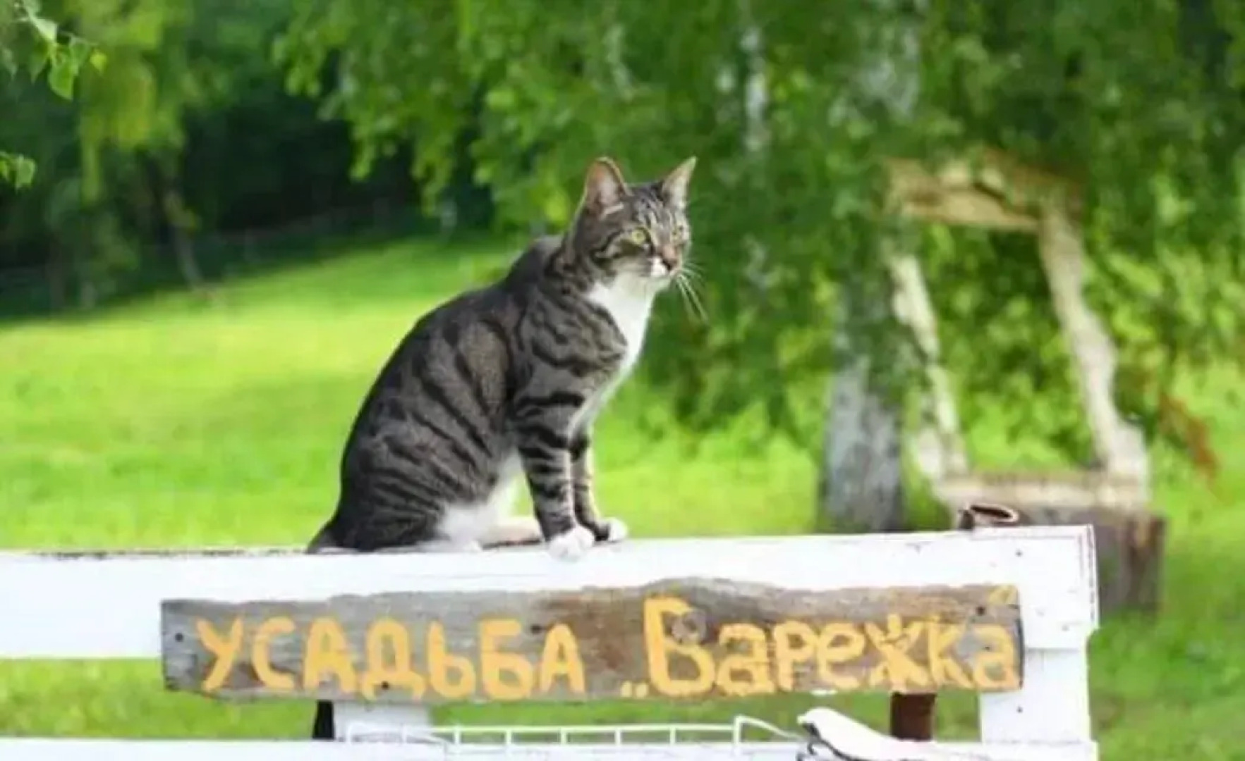 Сельская Усадьба Варежка