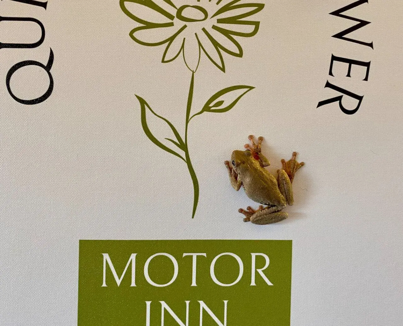 Quirindi Sunflower Motor Inn
