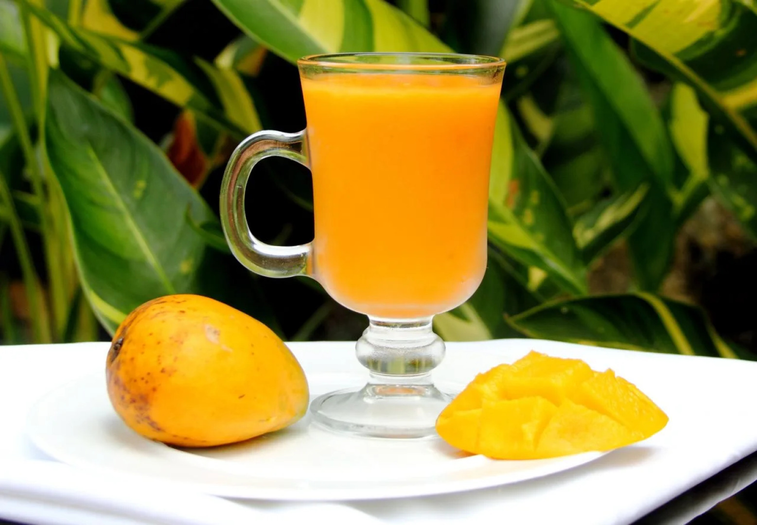 Shiny Lakeside Resort