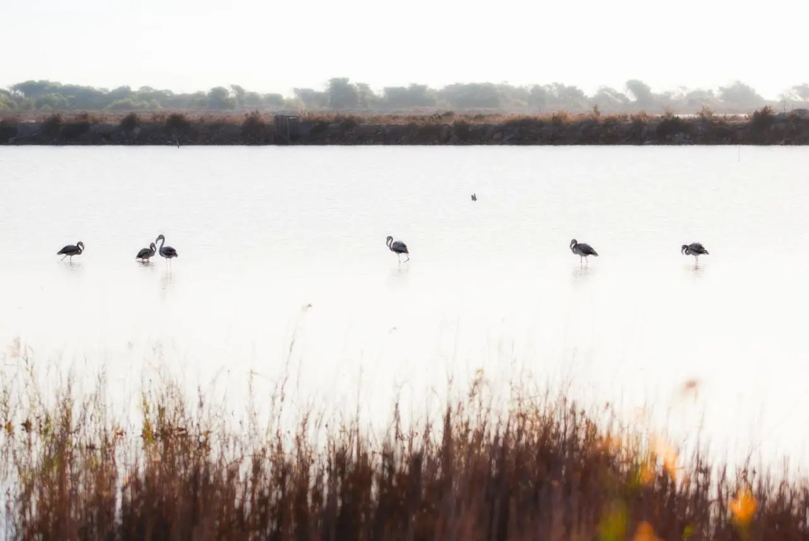 Thalasia Costa de Murcia