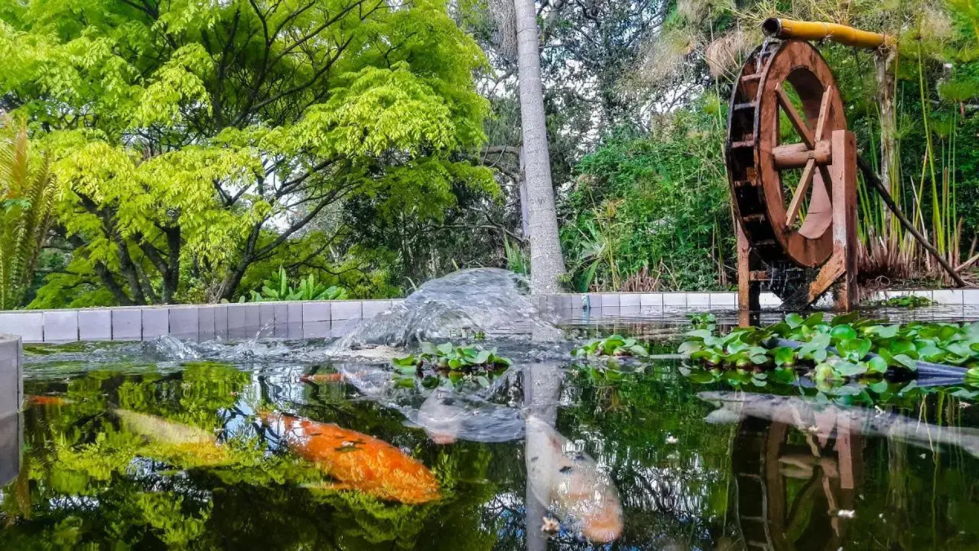 Pousada Monjolos De Minas