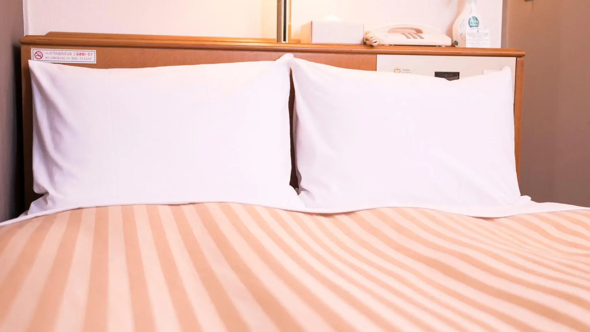 Hashimoto Park Hotel