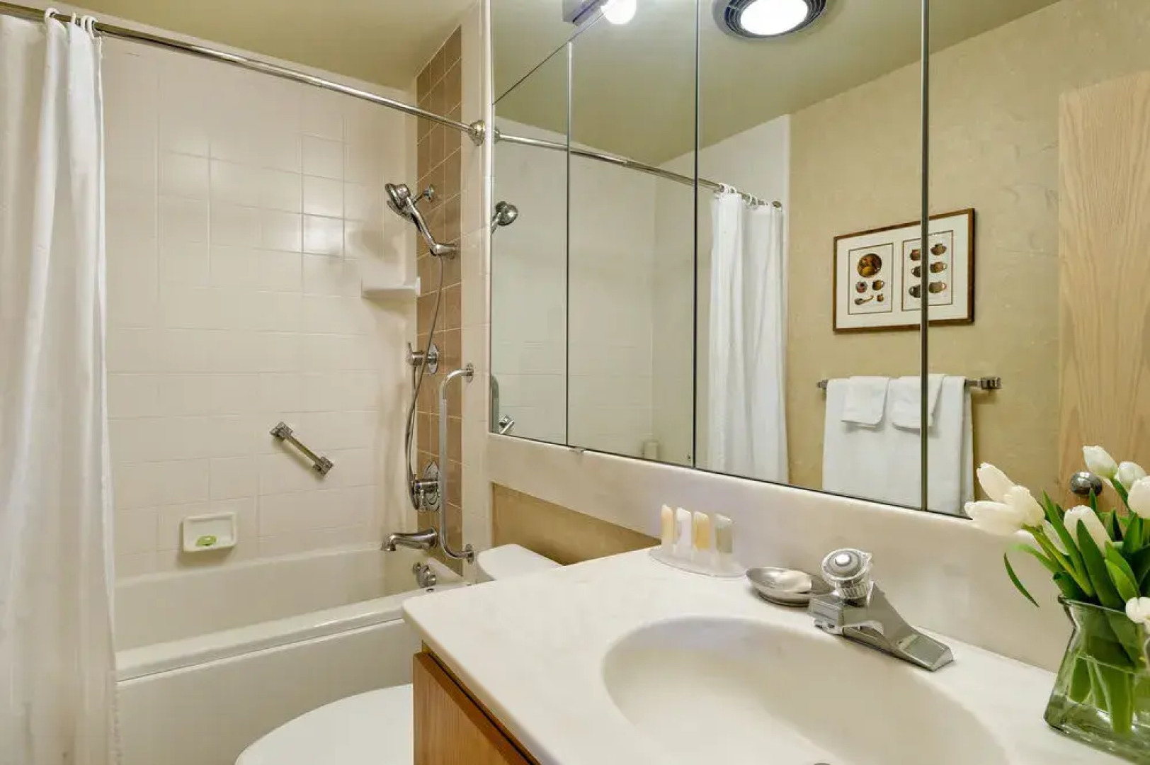 Standard Aspen Alps #103