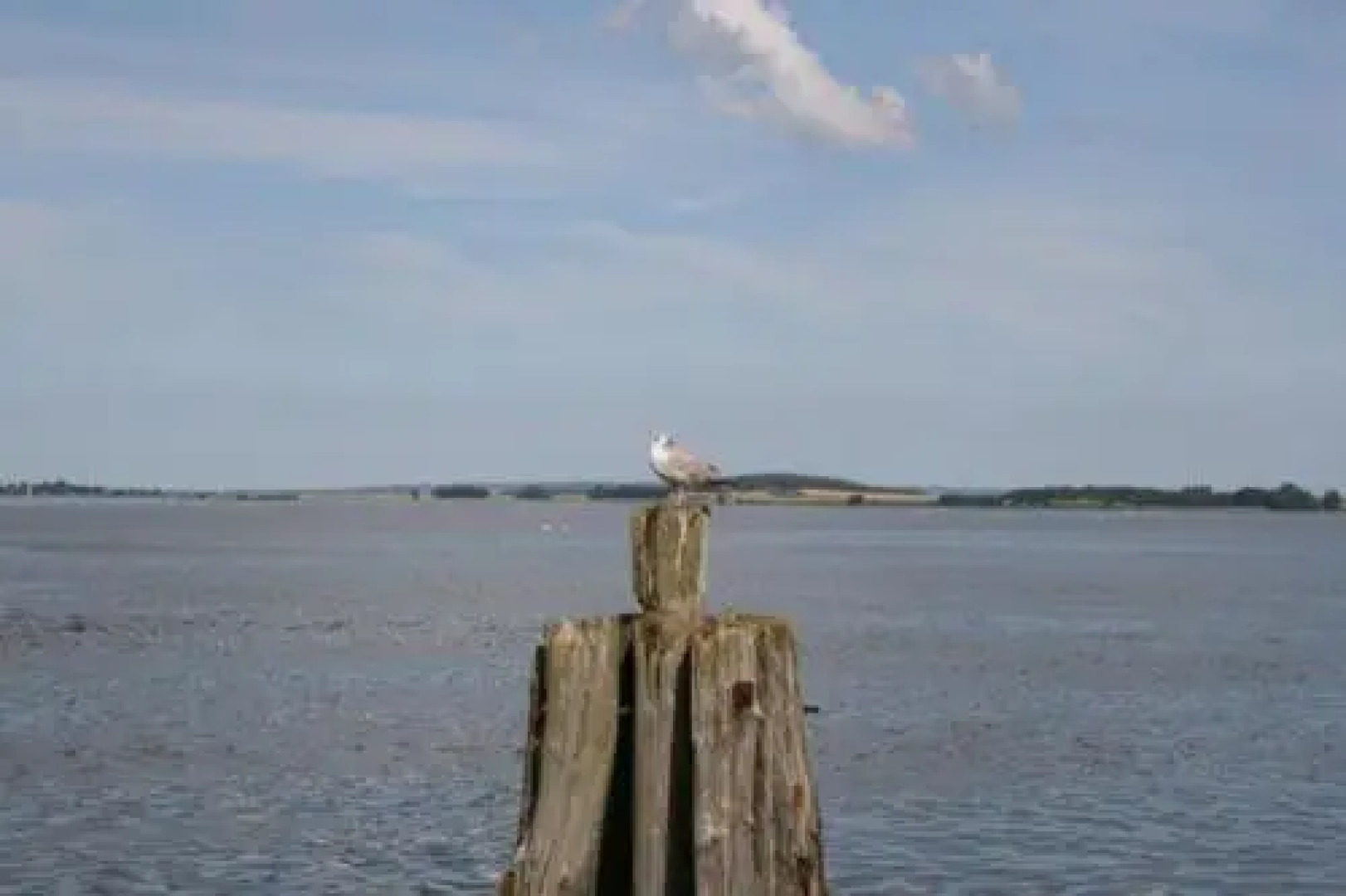 Gaestehaus Celina_ WE32747