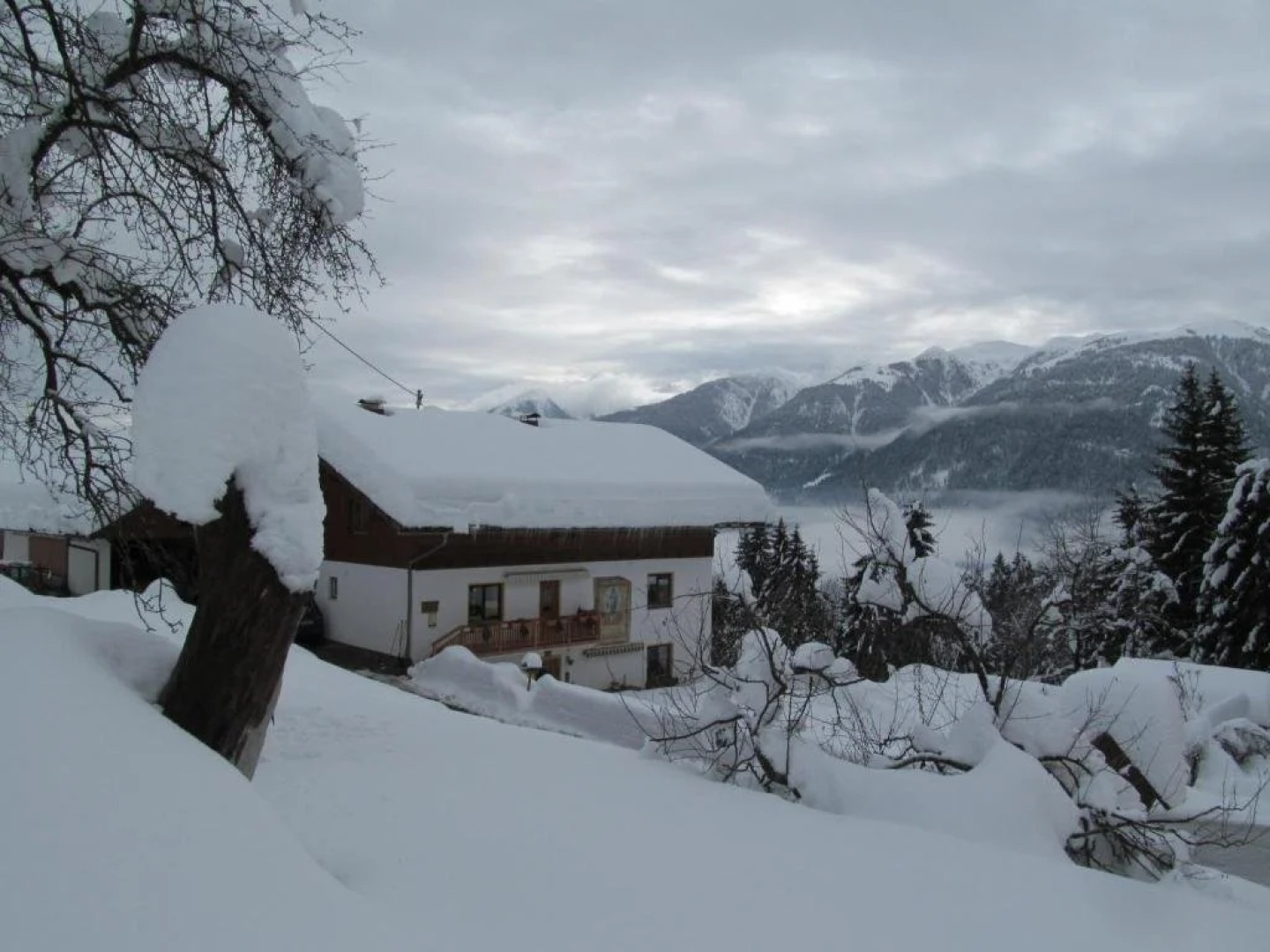 Bio-Bergbauernhof Weger