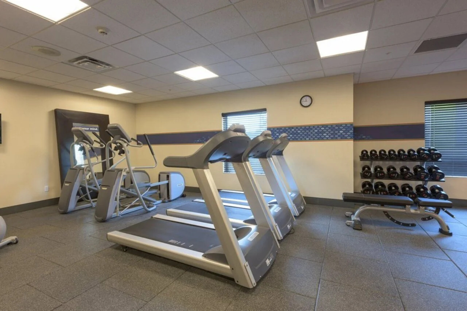 Hampton Inn Buffalo-Hamburg