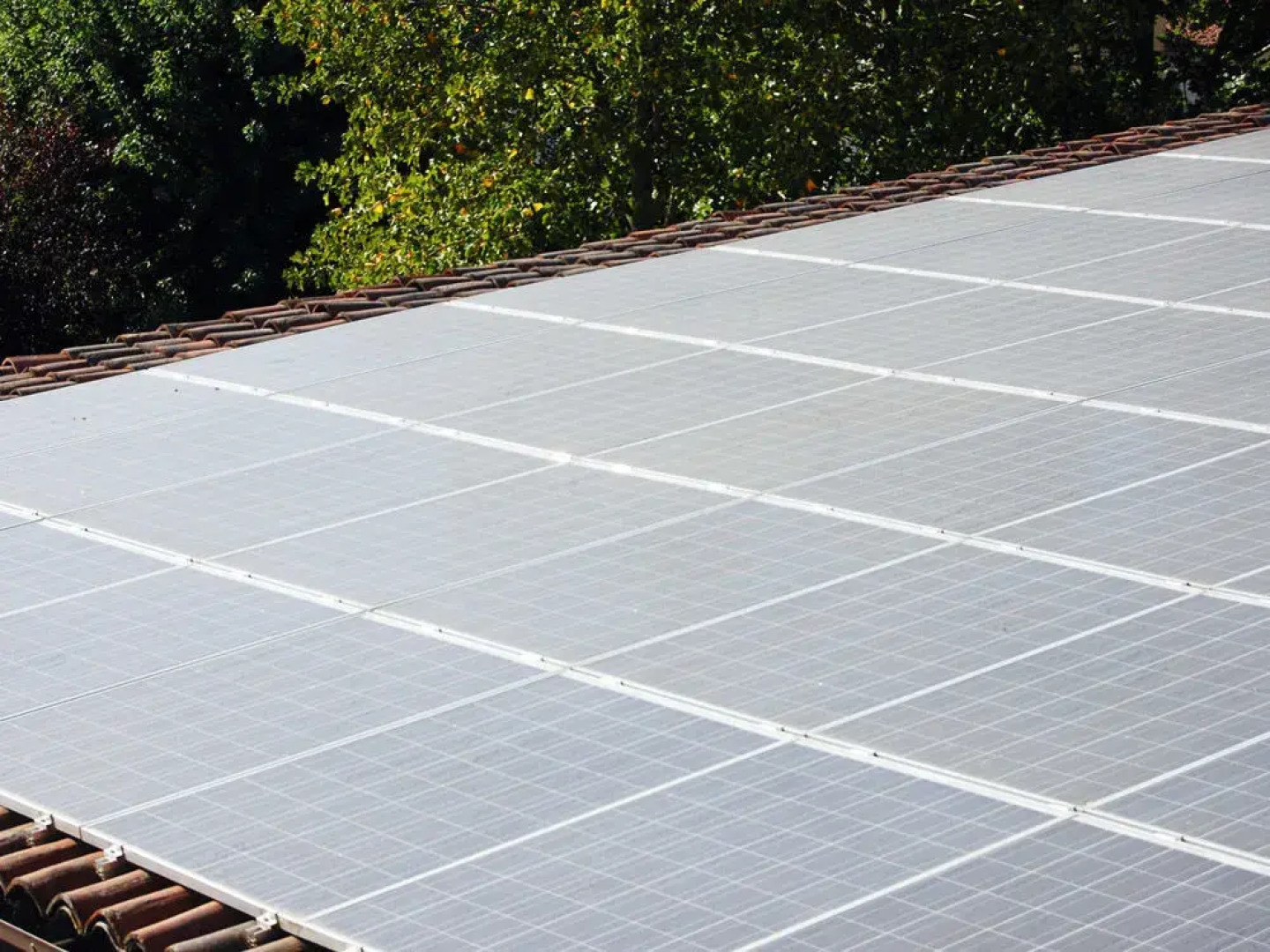 La Torre Dei Canonici