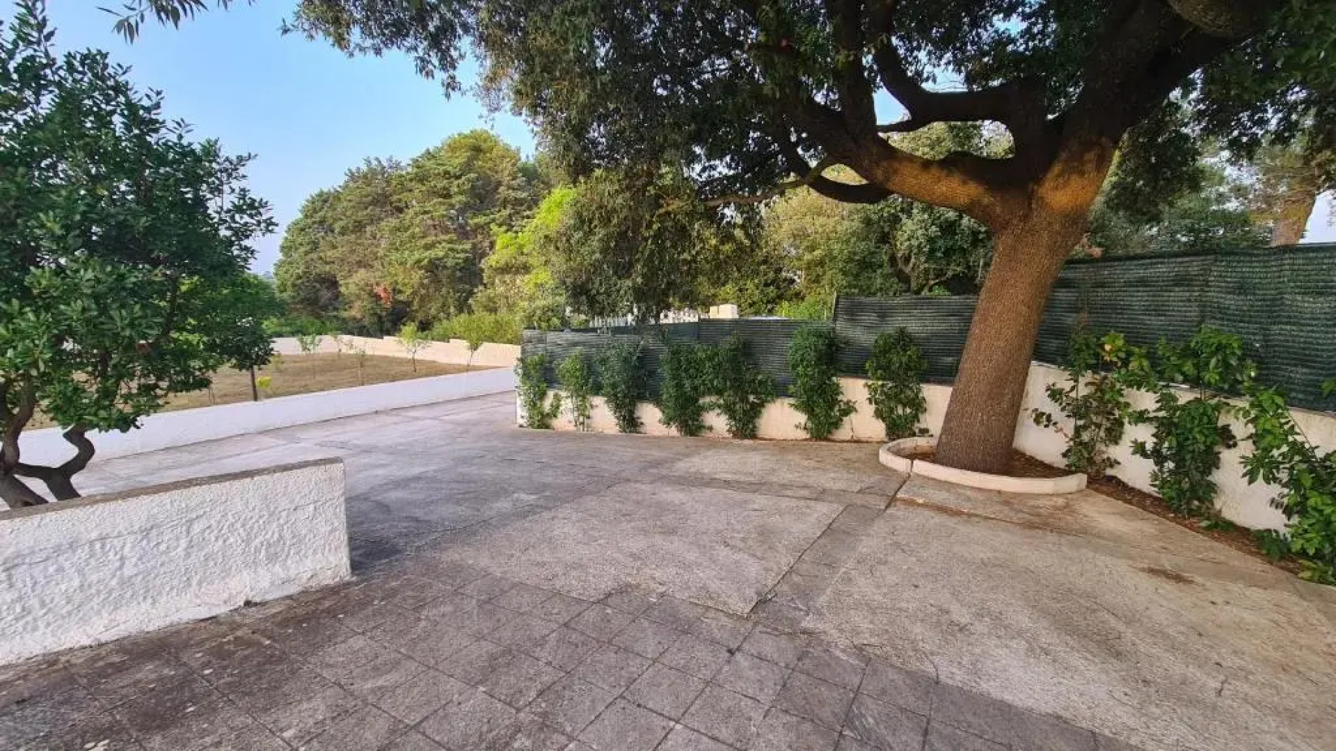 Il Grande Leccio by Holiday World