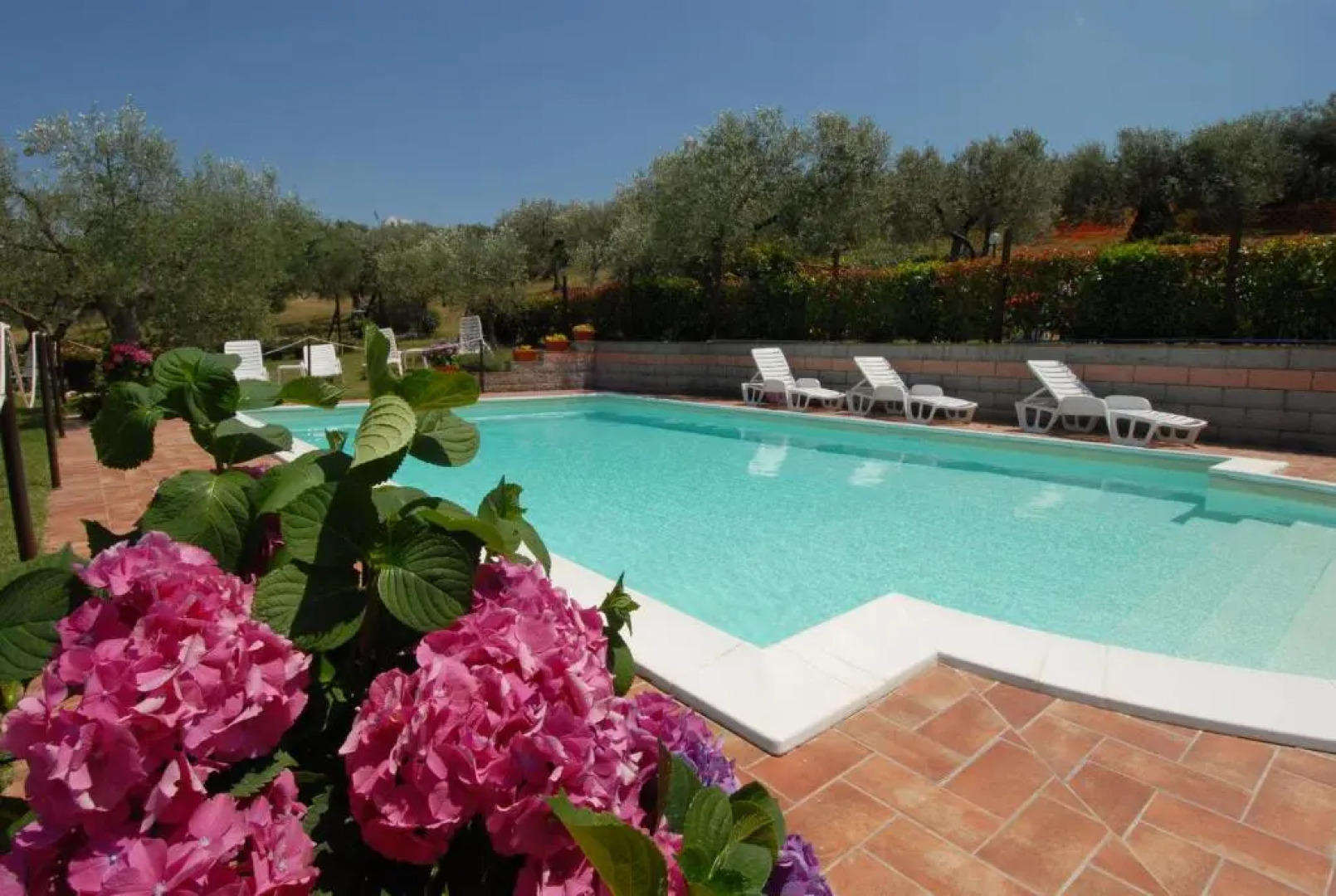 La Piaggiola degli Olivi