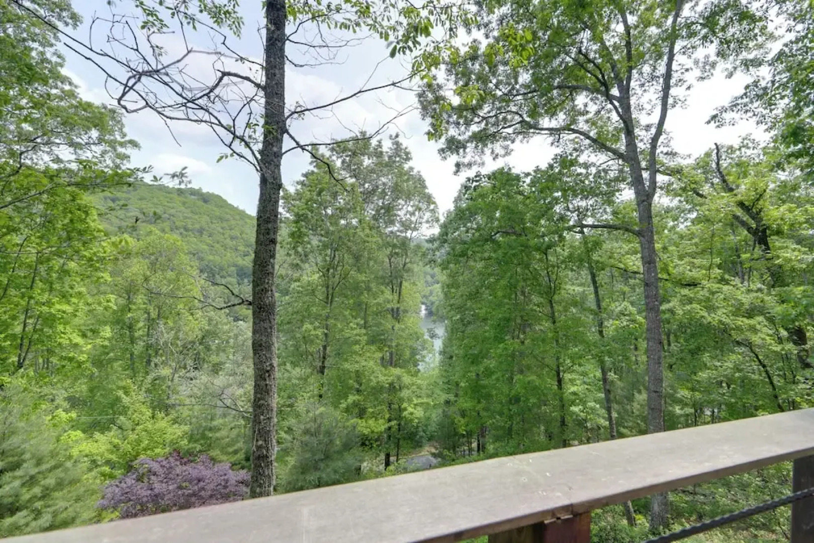 Waterfall Views - 'blue Ghost' Cabin in Cullowhee!