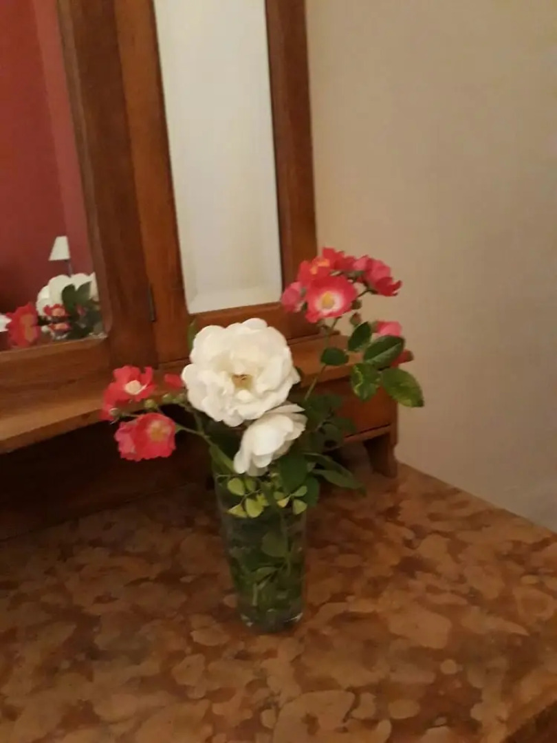 Hotel Boutique Bodega Florio