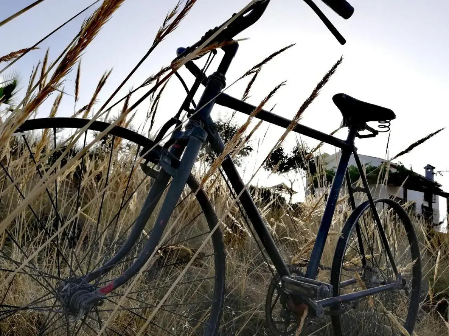 Al Agia - Mirador de los Quinientos